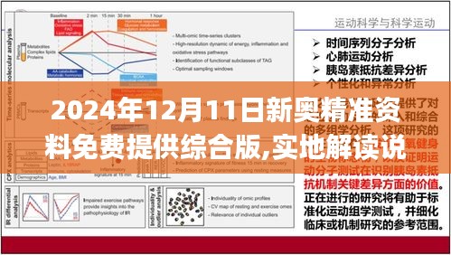 2025精准资料免费提供最新版全面释义、解释与落实